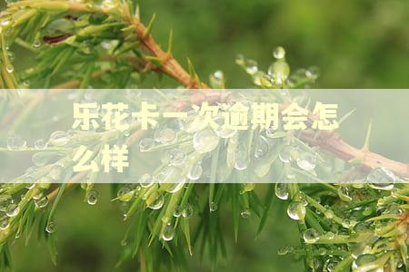 乐花卡一次逾期会怎么样