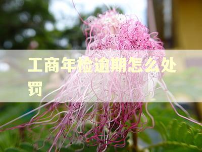 工商年检逾期怎么处罚