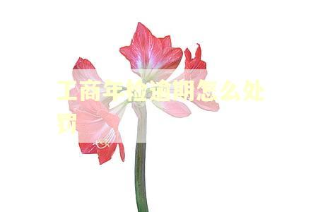 工商年检逾期怎么处罚
