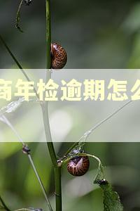 工商年检逾期怎么处罚