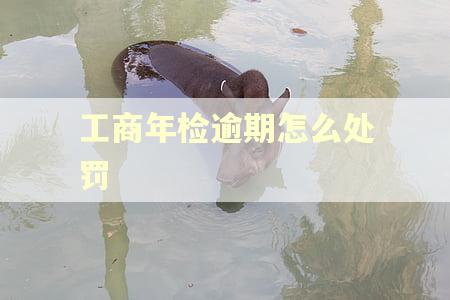 工商年检逾期怎么处罚