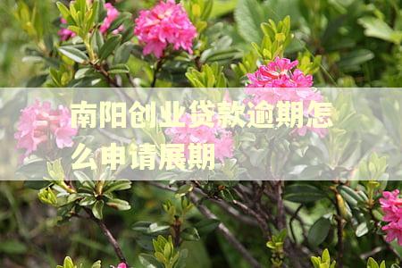 南阳创业贷款逾期怎么申请展期