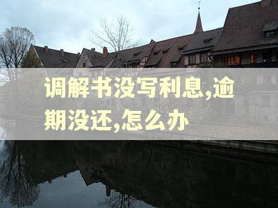 调解书没写利息,逾期没还,怎么办