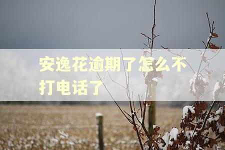安逸花逾期了怎么不打电话了 安逸花逾期了怎么不打电话了