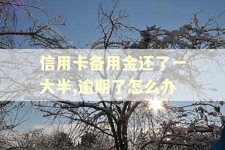 信用卡备用金还了一大半,逾期了怎么办