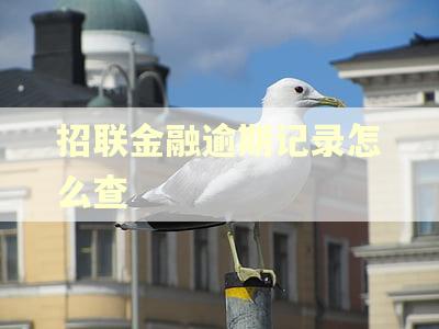 招联金融逾期记录怎么查