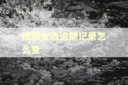招联金融逾期记录怎么查