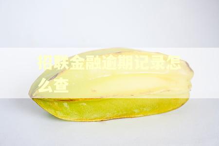招联金融逾期记录怎么查