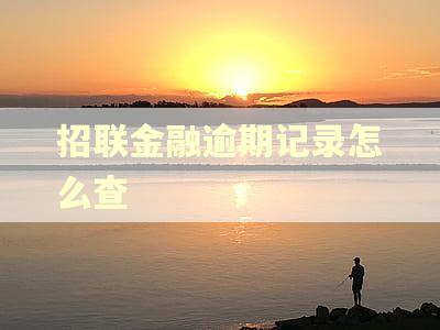 招联金融逾期记录怎么查