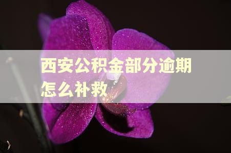 西安公积金部分逾期怎么补救