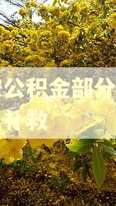 西安公积金部分逾期怎么补救
