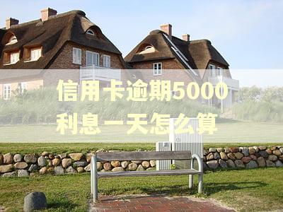 信用卡逾期5000利息一天怎么算