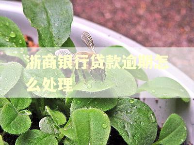 浙商银行贷款逾期怎么处理