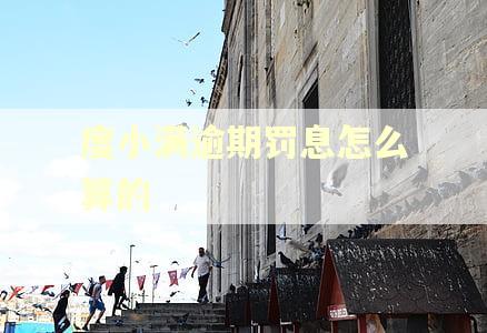 度小满逾期罚息怎么算的