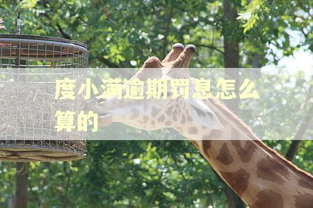 度小满逾期罚息怎么算的
