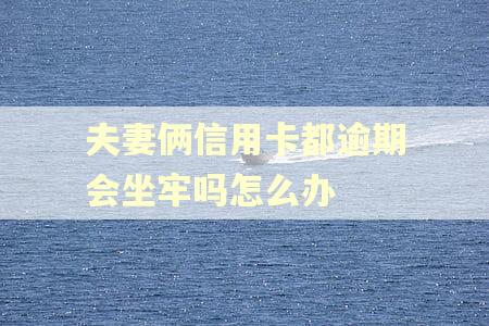 夫妻俩信用卡都逾期会坐牢吗怎么办