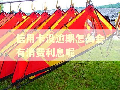 信用卡没逾期怎么会有消费利息呢