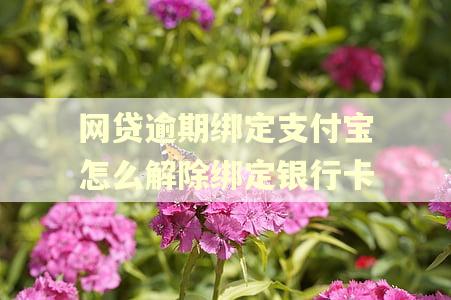 网贷逾期绑定支付宝怎么解除绑定银行卡