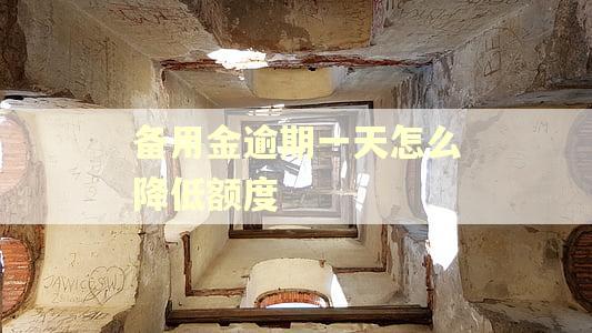 备用金逾期一天怎么降低额度