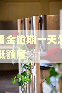 备用金逾期一天怎么降低额度