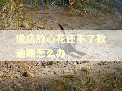 微店放心花还不了款逾期怎么办