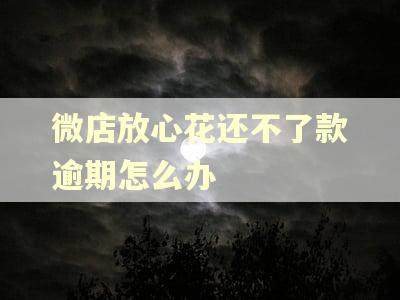 微店放心花还不了款逾期怎么办