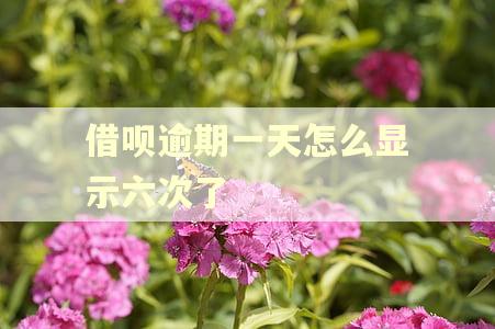 借呗逾期一天怎么显示六次了 借呗逾期一天怎么显示六次了