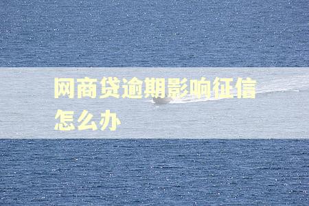 网商贷逾期影响征信怎么办