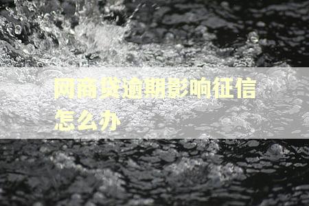 网商贷逾期影响征信怎么办