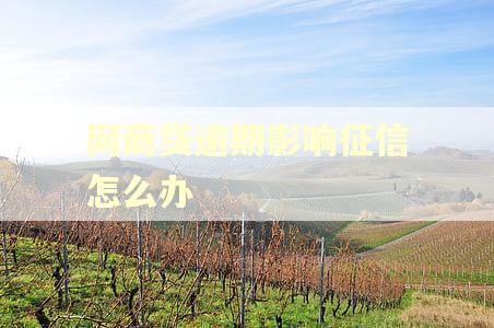 网商贷逾期影响征信怎么办 网商贷逾期影响征信怎么办