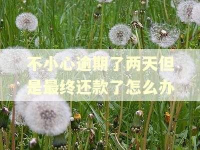 不小心逾期了两天但是最终还款了怎么办 不小心逾期了两天但是最终还款了怎么办