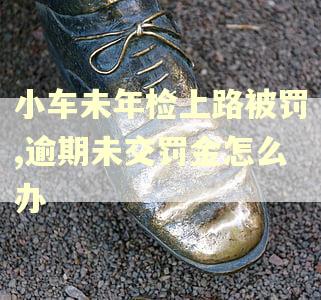 小车未年检上路被罚,逾期未交罚金怎么办