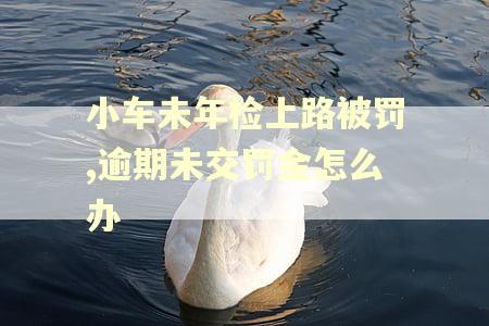 小车未年检上路被罚,逾期未交罚金怎么办