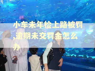 小车未年检上路被罚,逾期未交罚金怎么办