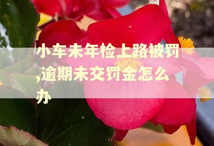 小车未年检上路被罚,逾期未交罚金怎么办