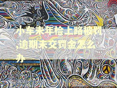 小车未年检上路被罚,逾期未交罚金怎么办