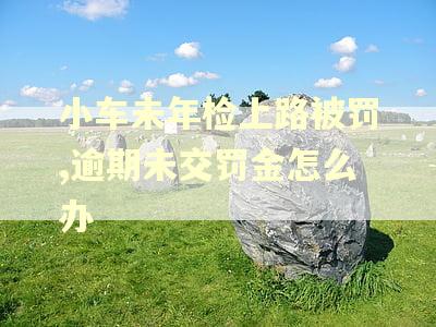 小车未年检上路被罚,逾期未交罚金怎么办 小车未年检上路被罚,逾期未交罚金怎么办