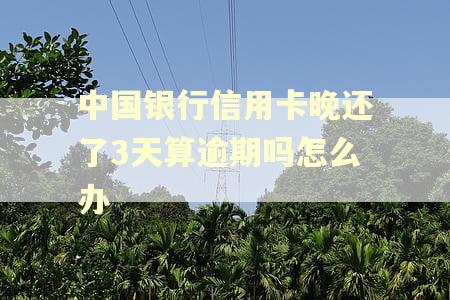 中国银行信用卡晚还了3天算逾期吗怎么办