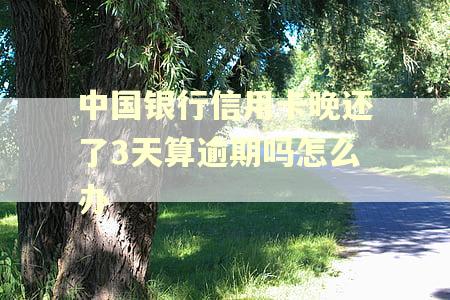 中国银行信用卡晚还了3天算逾期吗怎么办 中国银行信用卡晚还了3天算逾期吗怎么办