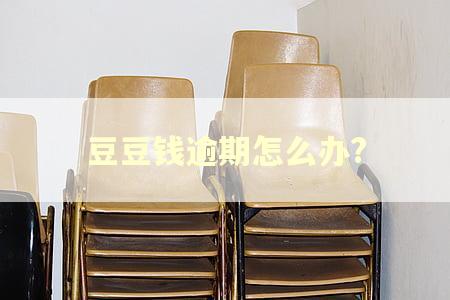 豆豆钱逾期怎么办?