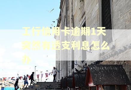 工行信用卡逾期1天突然有透支利息怎么办