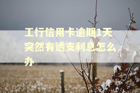 工行信用卡逾期1天突然有透支利息怎么办 工行信用卡逾期1天突然有透支利息怎么办