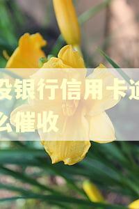 建设银行信用卡逾期怎么催收