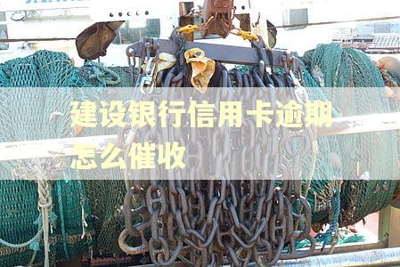 建设银行信用卡逾期怎么催收