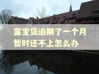 富宝贷逾期了一个月暂时还不上怎么办