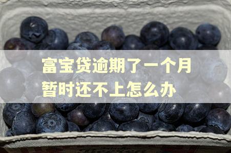 富宝贷逾期了一个月暂时还不上怎么办