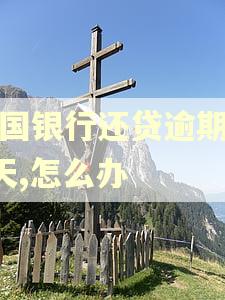 中国银行还贷逾期了2天,怎么办