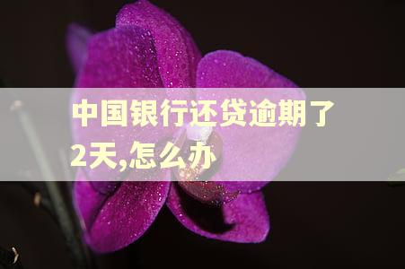中国银行还贷逾期了2天,怎么办