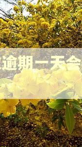 二次逾期一天会怎么样