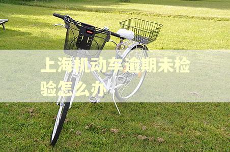 上海机动车逾期未检验怎么办